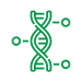 DNA genome icon