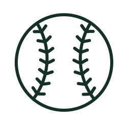 Baseball Icon
