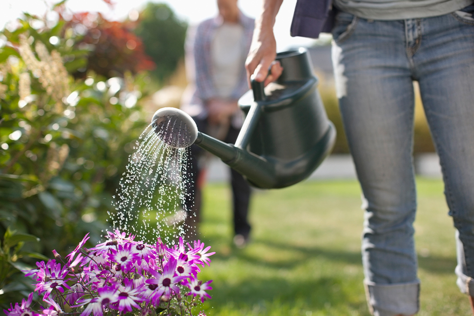 watering you garden